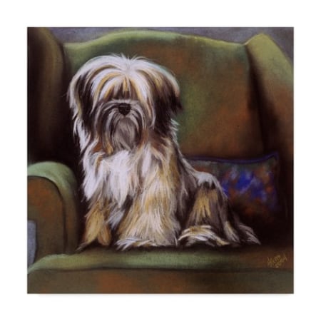 Barbara Keith 'Tibetan Terrier' Canvas Art,35x35